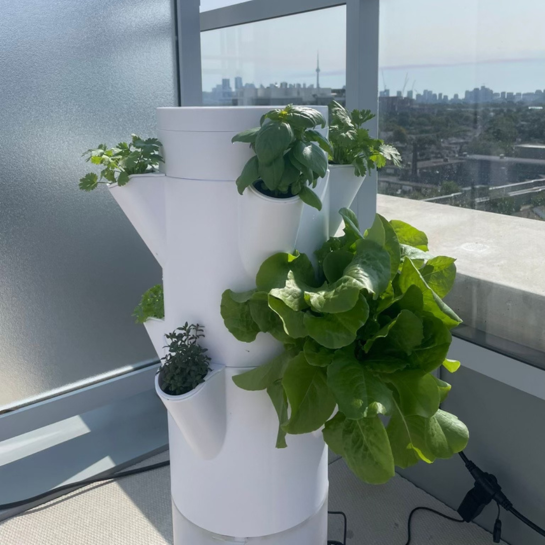 Exploring the Future of Urban Farming with Stack & Sprout