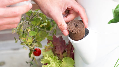 Additional Stack & Sprout Smart Soil Capsules